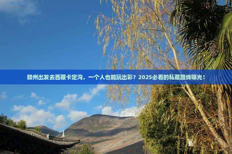 赣州到西藏卡定沟个人游