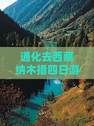 通化去西藏纳木措四日游