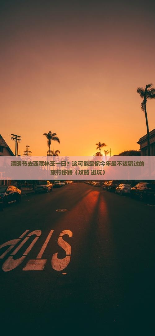 清明节去西藏林芝一日