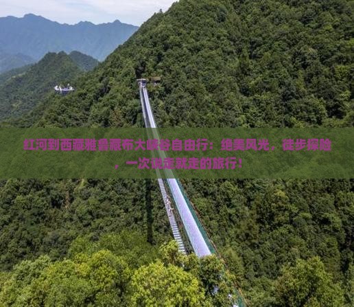 红河到西藏雅鲁藏布大峡谷自由行
