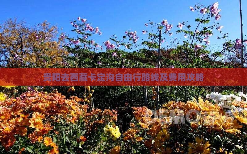 贵阳去西藏卡定沟自由行