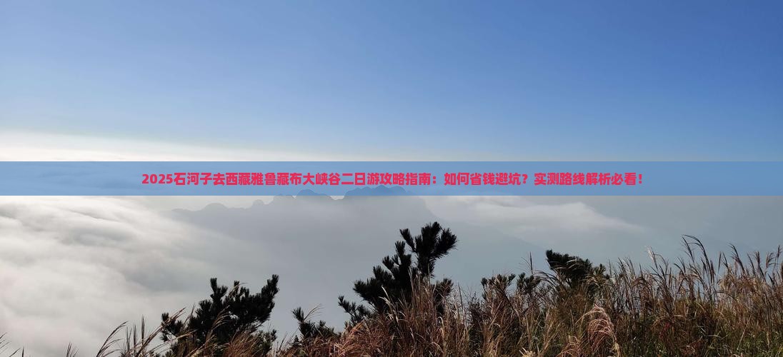 石河子去西藏雅鲁藏布大峡谷二日游