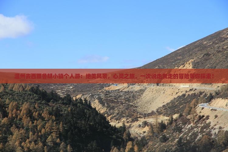 温州去西藏鲁朗小镇个人游