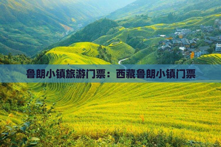 临夏到西藏鲁朗小镇门票