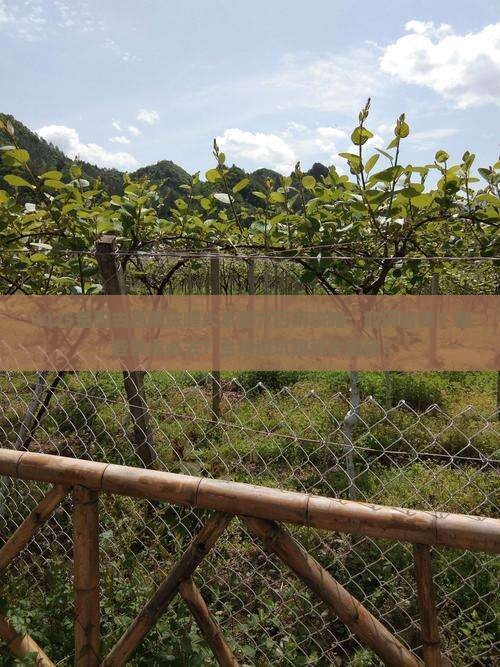 益阳去西藏珠峰大本营六日游
