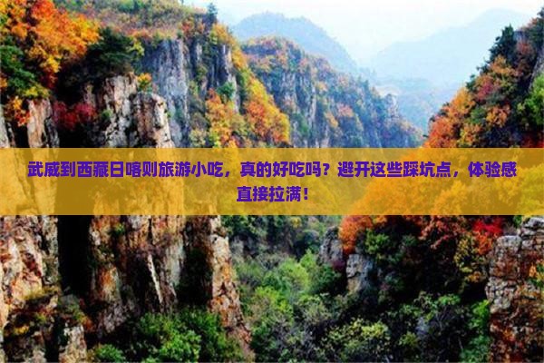 武威到西藏日喀则旅游小吃