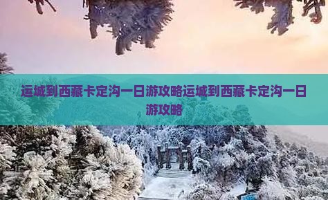 运城到西藏卡定沟一日