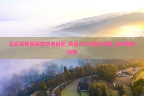 五家渠到西藏林芝自由团