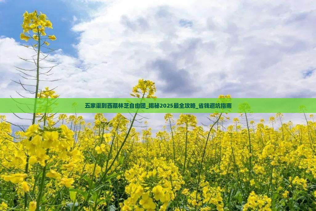 五家渠到西藏林芝自由团