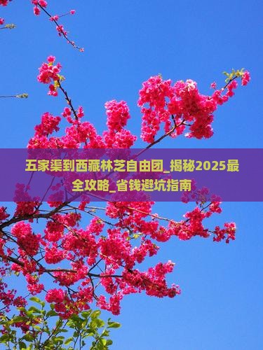 五家渠到西藏林芝自由团