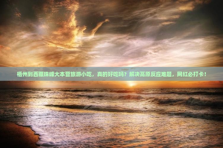 梧州到西藏珠峰大本营旅游小吃
