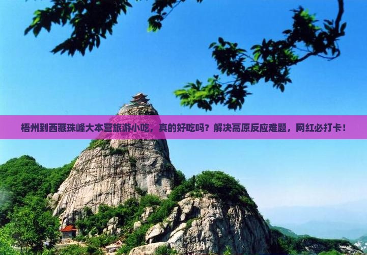 梧州到西藏珠峰大本营旅游小吃