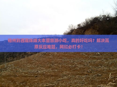梧州到西藏珠峰大本营旅游小吃
