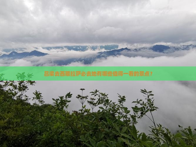 吕梁去西藏拉萨必去地