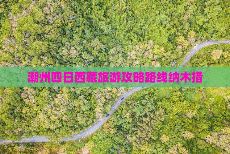 潮州到西藏纳木措四日游
