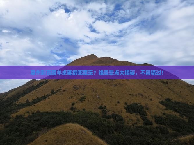 惠州到西藏羊卓雍措哪里玩