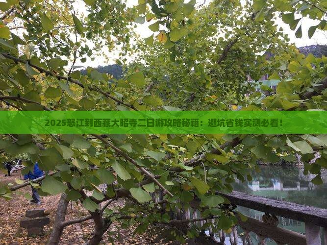 怒江到西藏大昭寺二日游
