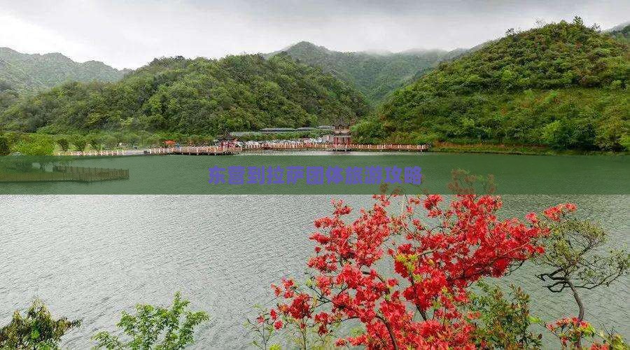 东营到西藏拉萨团体旅游