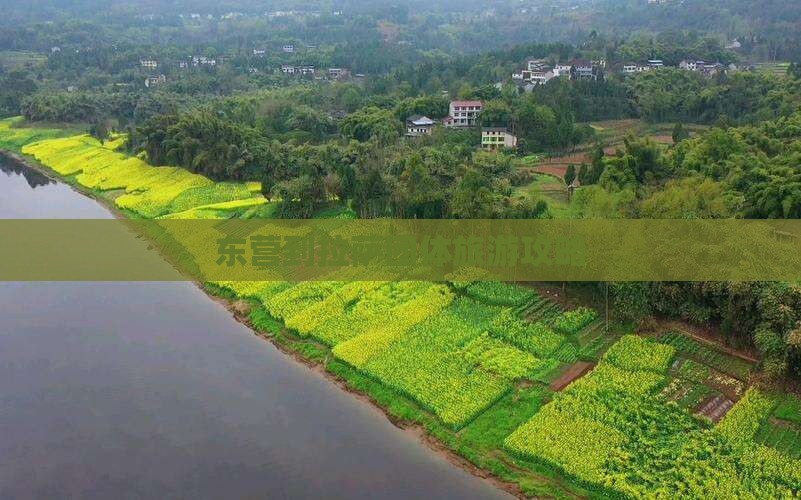 东营到西藏拉萨团体旅游