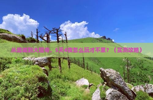 塔城到西藏大昭寺自由行