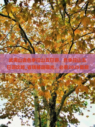 武夷山去西藏色季拉山五日游