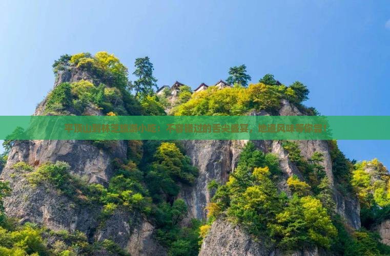 平顶山到西藏林芝旅游小吃