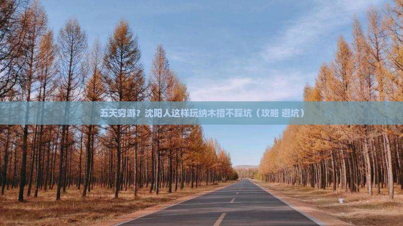 沈阳到西藏纳木措五日游