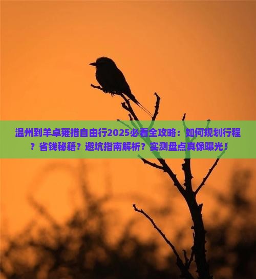 温州到西藏羊卓雍措自由行