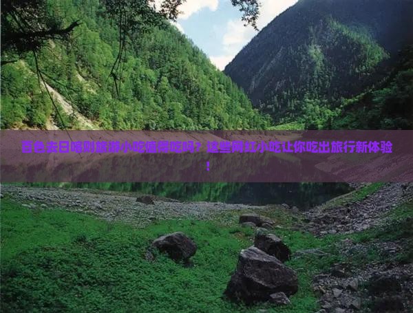 百色去西藏日喀则旅游小吃