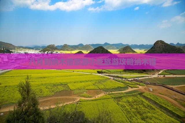 八月到西藏纳木措旅游小吃