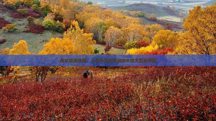 衡水到西藏纳木措大型旅游团