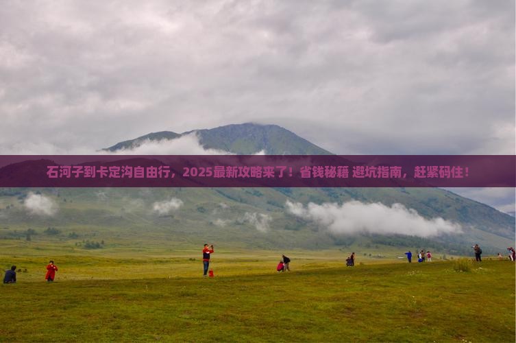 石河子到西藏卡定沟自由团
