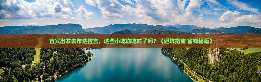 宜宾去西藏布达拉宫旅游小吃