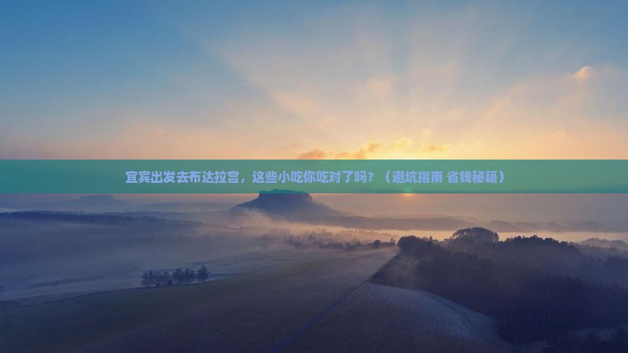 宜宾去西藏布达拉宫旅游小吃