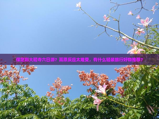 保定到大昭寺六日游？高原反应太难受，有什么轻装旅行好物推荐？