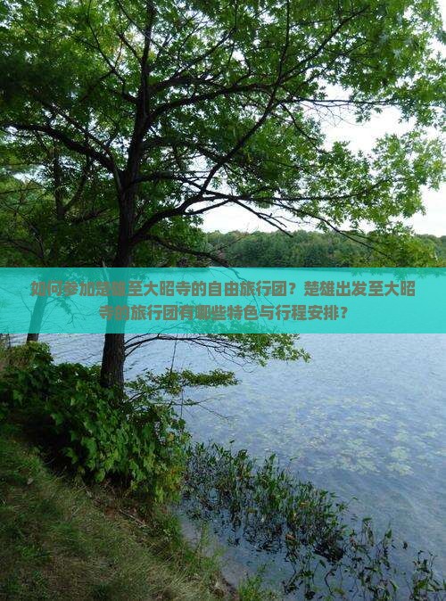 如何参加楚雄至大昭寺的自由旅行团？楚雄出发至大昭寺的旅行团有哪些特色与行程安排？