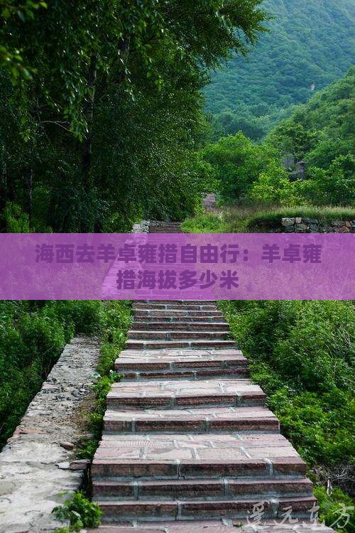 海西去羊卓雍措自由行：羊卓雍措海拔多少米