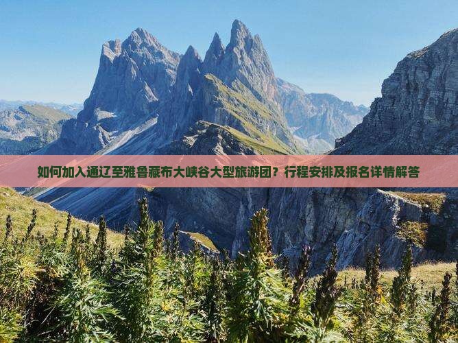 如何加入通辽至雅鲁藏布大峡谷大型旅游团？行程安排及报名详情解答