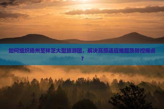 如何组织扬州至林芝大型旅游团，解决高原适应难题及防控痛点？
