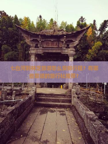 七台河到林芝旅游怎么安排行程？有哪些靠谱的旅行社推荐？
