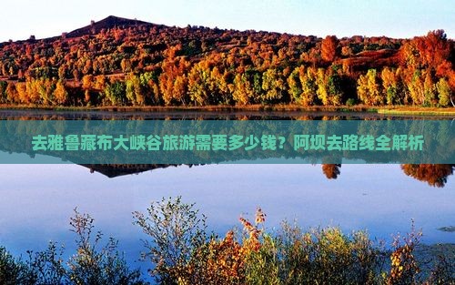 去雅鲁藏布大峡谷旅游需要多少钱？阿坝去路线全解析