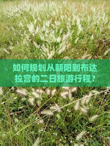 如何规划从朝阳到布达拉宫的二日旅游行程？