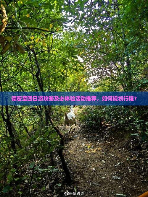 德宏至四日游攻略及必体验活动推荐，如何规划行程？