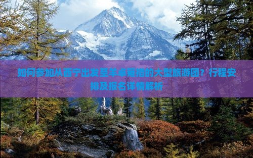 如何参加从西宁出发至羊卓雍措的大型旅游团？行程安排及报名详情解析