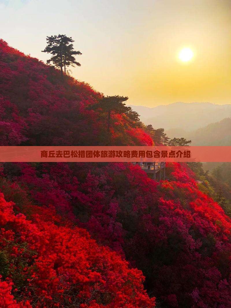 商丘去巴松措团体旅游攻略费用包含景点介绍