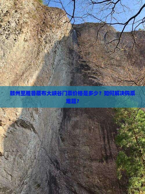 赣州至雅鲁藏布大峡谷门票价格是多少？如何解决购票难题？