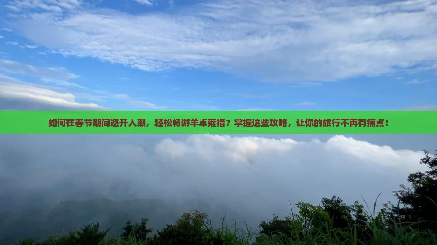 如何在春节期间避开人潮，轻松畅游羊卓雍措？掌握这些攻略，让你的旅行不再有痛点！