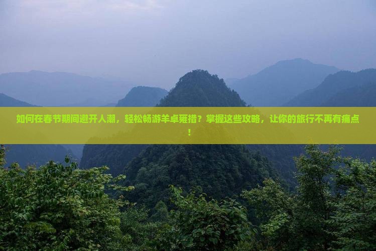 如何在春节期间避开人潮，轻松畅游羊卓雍措？掌握这些攻略，让你的旅行不再有痛点！