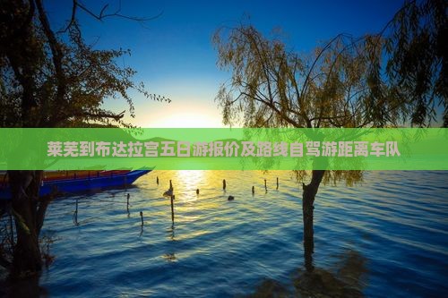 莱芜到布达拉宫五日游报价及路线自驾游距离车队