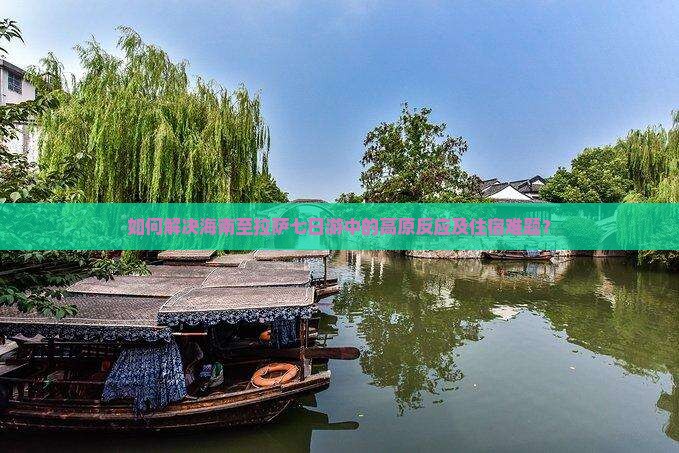 如何解决海南至拉萨七日游中的高原反应及住宿难题？